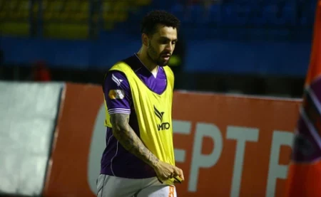 wellington nem 1728046391065725892813 e1733187165233