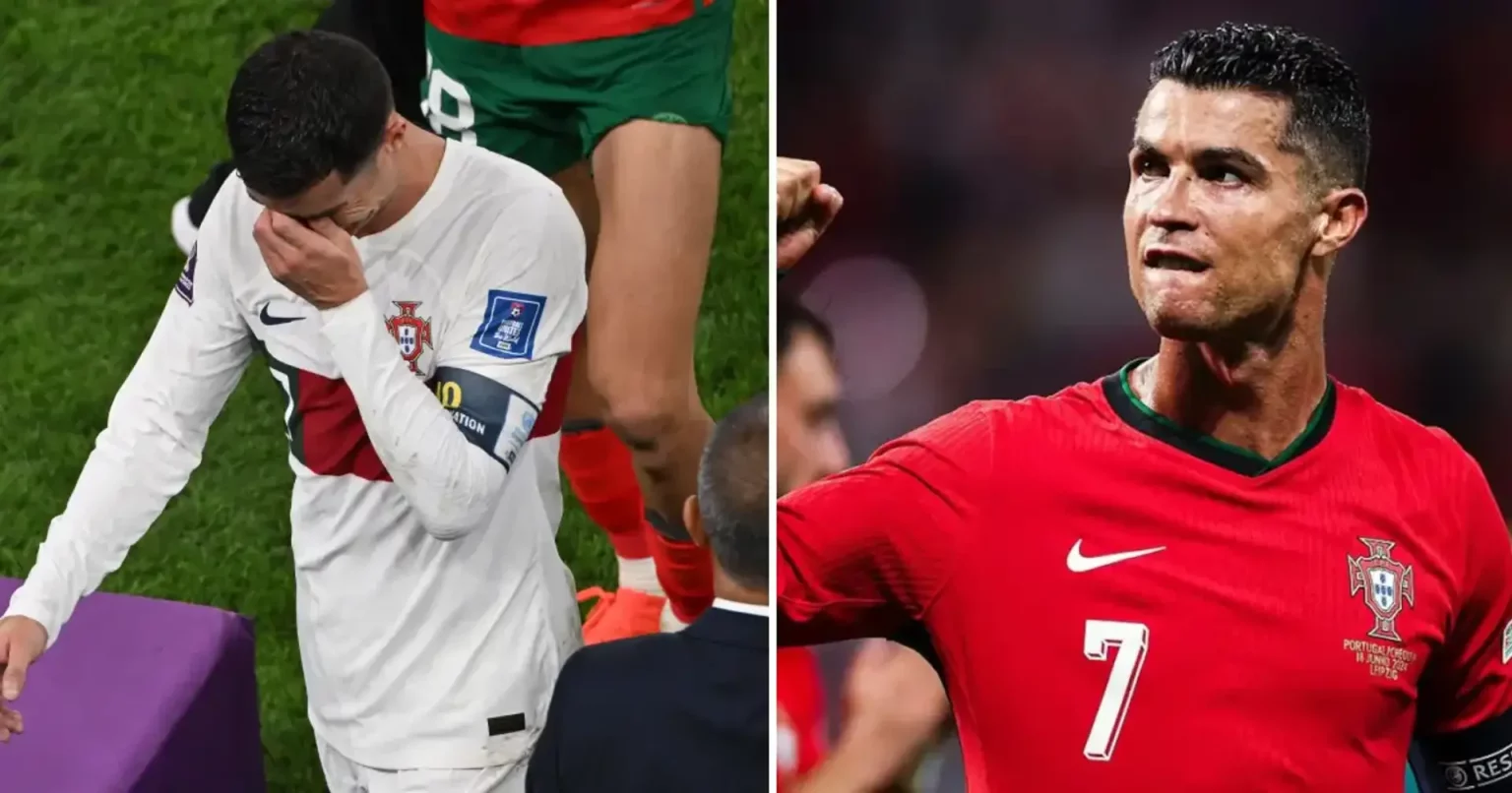 23310b6a 7582 4fff ab77 636d2c3384f4