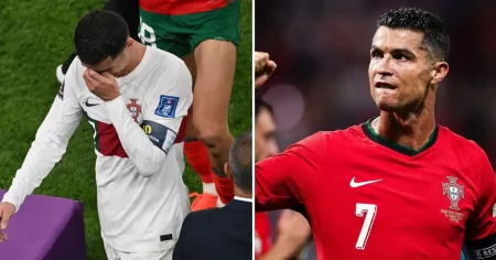 23310b6a 7582 4fff ab77 636d2c3384f4